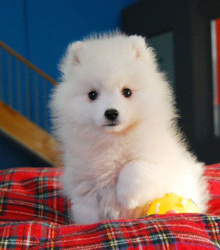 Jagrecovery's profile picture. 