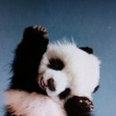 drew lowery - @DLowetothemax - Twitter