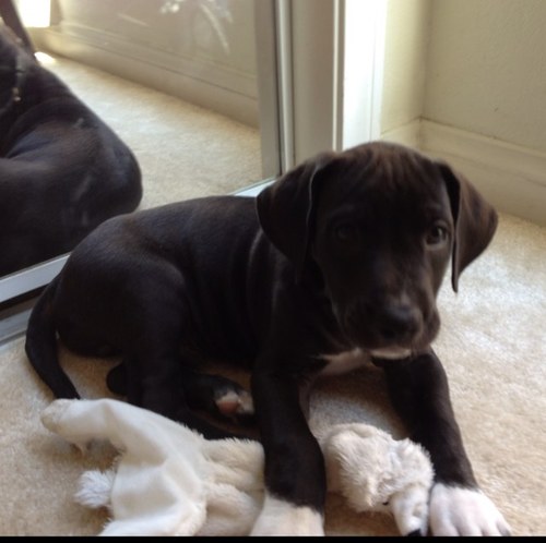 Gregoryafish's profile picture. 