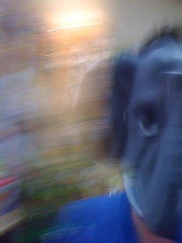 ebooker2's profile picture. 