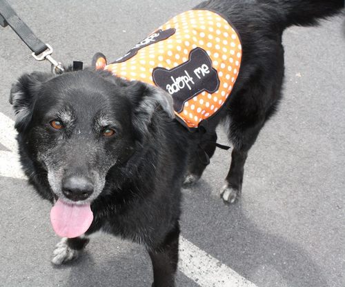 GriffinPondPets's profile picture. Griffin Pond Animal Shelter
http://t.co/bAf7cUGYUA