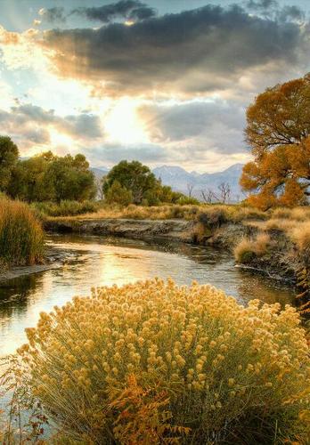 readandsmile's profile picture. I try to follow back,
For quotes you'd like me to tweet, DM me, or Email: PisgamimNivcharim@Gmail.com