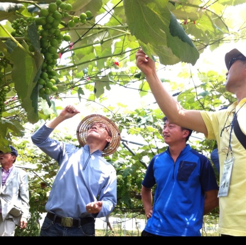 cnrurallife's profile picture. 귀농하기 좋은 충남. 충남기술원의 귀농귀촌 트위터. 귀농대학. 귀농 귀촌 메뉴얼. 귀농 정착 사례 등