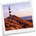 Cape Campbell Track (@capecampbell) Twitter profile photo