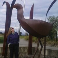 Lynda Bowers (@hwkbantam) 's Twitter Profile