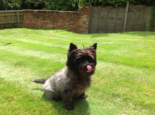 pbtesco's profile picture. 