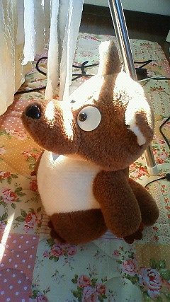 inazuma8484's profile picture. 