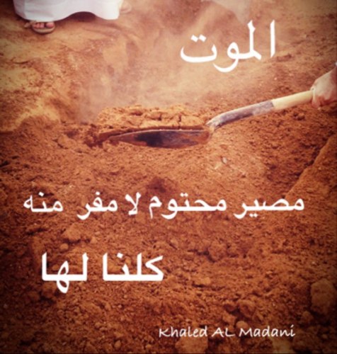 ALMadani_AD's profile picture. 