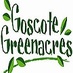 Goscote Greenacres (@GoscoteGreen) Twitter profile photo