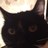 deek2708's profile image