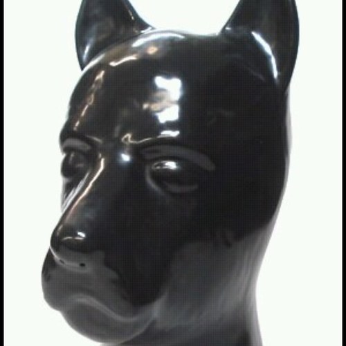 unownedpup's profile picture. Manchester pup looking for new pup friends and handler.