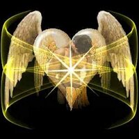 Singed Wings (@mssingedwings) 's Twitter Profile