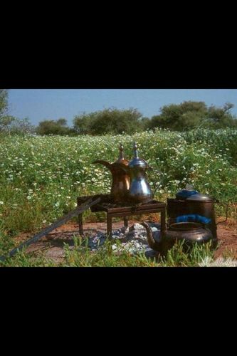 ابوجنى