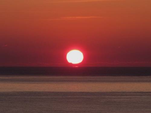 wolfe150's profile picture. I am a nature photographer based in Devon uk and proprieter of Nature Print where you can see my nature photo products.