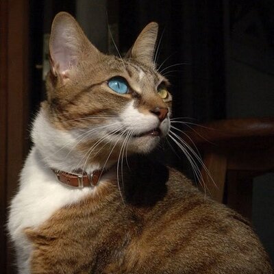 日本語ラップ好き40歳 (@decaltur) / Posts / X