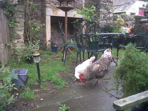 ChrisClose50's profile picture. 