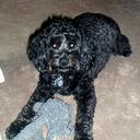 Robin Vines - @rvines1003 - Twitter