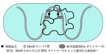 安全で安心して暮らせる社会とは？/農業再生/環境/教育/就活/人事