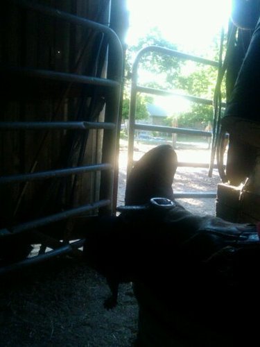 just a good ole texas cowgirl trying to do this twitter thang
