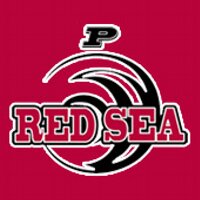 Pulaski Red Sea(@PulaskiRedSea) 's Twitter Profile Photo