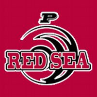 Pulaski Red Sea (@pulaskiredsea) 's Twitter Profile Photo Pulaski Red Sea (@pulaskiredsea) 's Twitter Profile Photo