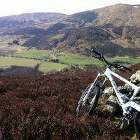 neal padmanabhan (@nealpadmanabhan) 's Twitter Profile