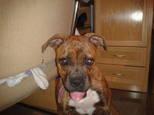 juliguillen12's profile picture. 