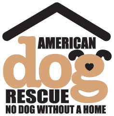 Our mission is simple - No Dog Without A Home. Follow us on @instagram @ahomeforeverydog