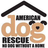 American Dog Rescue(@AHome4EveryDog) 's Twitter Profileg