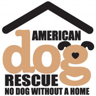 Dallas Dog Rescue Facebook Dallas Dog Rescue Facebook