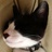 fukayanyan's profile image