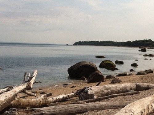 nanceAS's profile picture. 