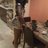 Blaqueroses_Fl's profile image