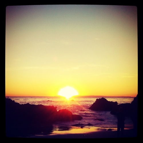 cagedbirdsfly's profile picture. @cagedbirdsfly