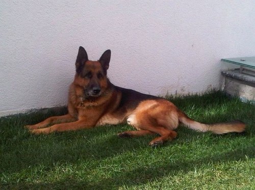 esmeraysebnem's profile picture. 