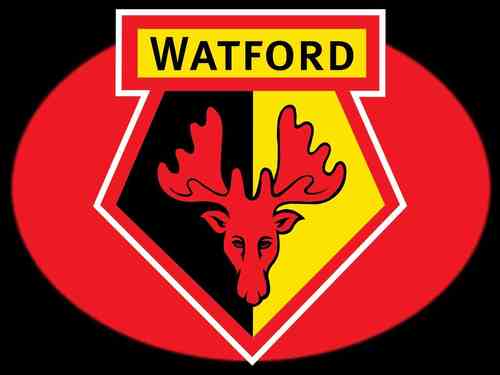 Watford_FC_news's profile picture. Follow for football news and opinions! #WatfordFC in particular. Talk about FIFA sometimes too!
