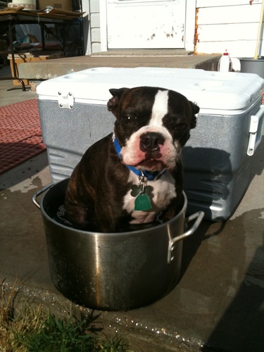 flipangel21's profile picture. 