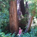 James Pizzo - @PizzoJames - Twitter