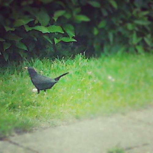 davey_gray's profile picture. 