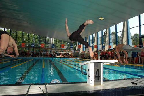 Graduated in Business Engineering at PoliMi.. Swimming addicted! Tendo a non fidarmi di chi non sa fare il nodo alla cravatta..