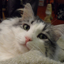 Tom Vanderpool - @TomVanderpool - Twitter