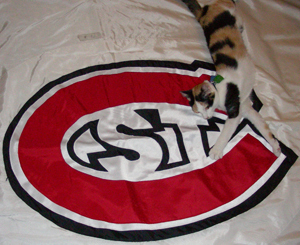 Retired flag waver and a picture taker. SCSU Alumni. Don't know if I'll tweet much, and who's to say when I do it will be all hockey related... ^_^