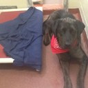 jessica oswald - @greengirl000 - Twitter