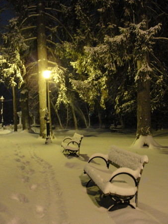 Reine_Haitienne's profile picture. I work hard and play even harder....