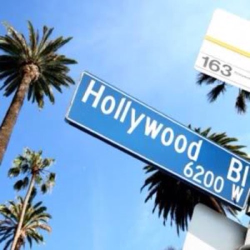 CloudNineRP's profile picture. @/DM To Join Our Celebrity RP! :] No Rules, No Audition