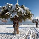 Barbara Zontek - @BarbaraZontek - Twitter