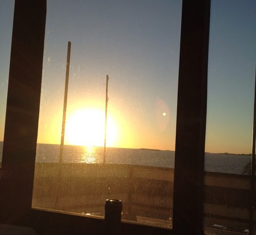 elisatocor's profile picture. 