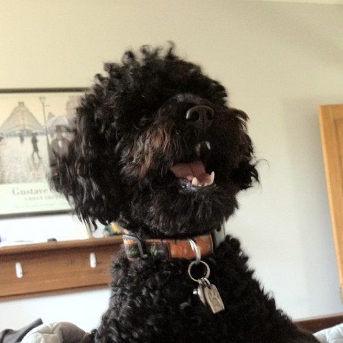 juliakate78's profile picture. 