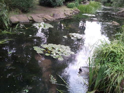 StressDr_AV's profile picture. A Psychiatrist who loves NLP, sport, travelling, photography, life....