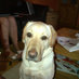 Phil Colegate (@phil_colegate) Twitter profile photo Phil Colegate (@phil_colegate) Twitter profile photo